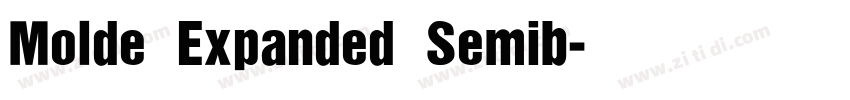Molde Expanded Semib字体转换